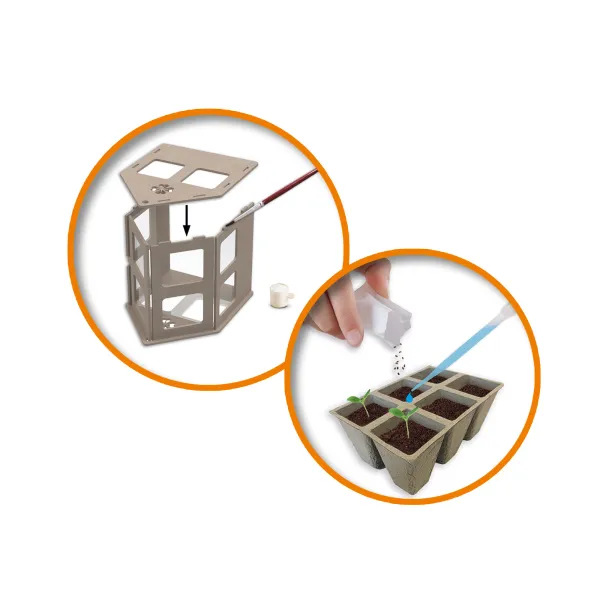 Explore Szklarnia z warzywami zdjęcie 5