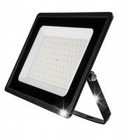 Reflektor halogen naświetlacz SMD 100W 8000lm 230V, NEO 99-054