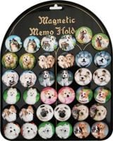 magnesy psy 36 szt.  mg-0105