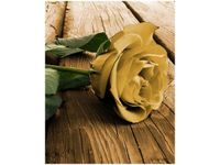 40X50CM CIEKAWA RÓŻA OBRAZ