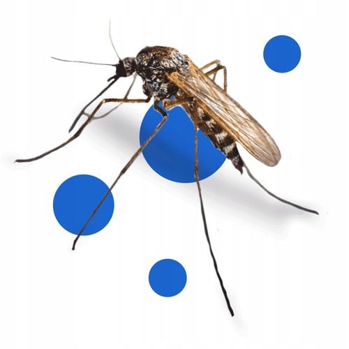 bros - bagosel 100ec 30ml - preparat do oprysku ogrodu przeciw komarom na Arena.pl