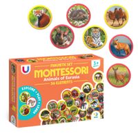 zestaw kreatywny dodo montessori zestaw magnesów montessori