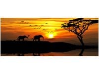 100X40CM AFRYKA OBRAZ DREWNO