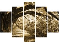 OBRAZ DROGA DRZEWAMI VINTAGE