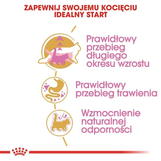 Karma dla kociąt Maine Coon, kotek w ciąży i karmiących - Royal Canin 2kg zdjęcie 5