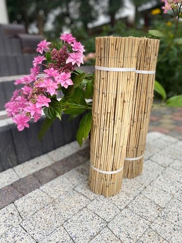 Mata trzcinowa 180 x 600 cm Maty trzcinowe 1.8 x 6 na Arena.pl