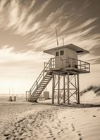 Plakat 64x90cm Strażnik Wydm