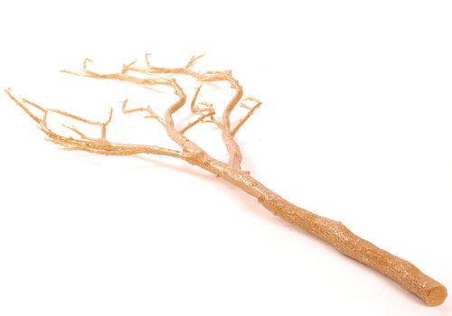 Gałąź złota na Arena.pl