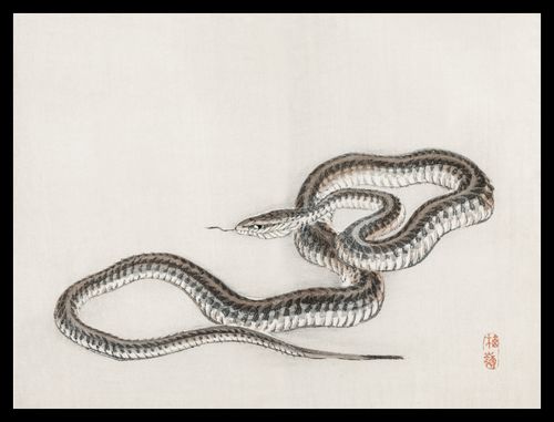 Plakat 40x30cm Snake, Kōno Bairei na Arena.pl