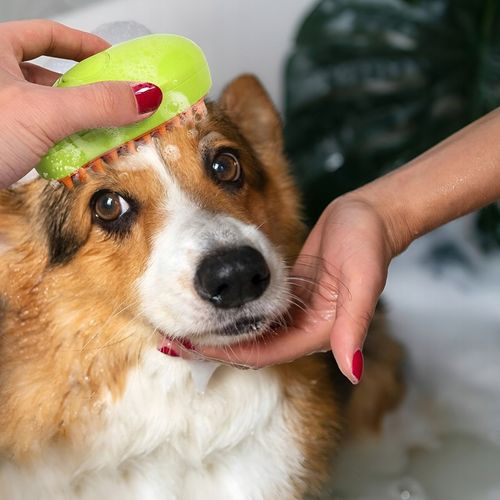 SZCZOTKA PAROWA DLA KOTA PSA ZWIERZĄT MASAŻER GRZEBIEŃ ELEKTRYCZNY SIERŚĆ na Arena.pl