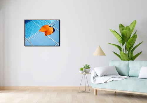 Plakat 80x60cm Liść przy Wodzie na Arena.pl
