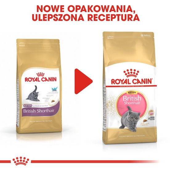 Karma dla kociąt, kotek w ciąży i karmiących Royal Canin KOT BRYTYJSKI 400g zdjęcie 3