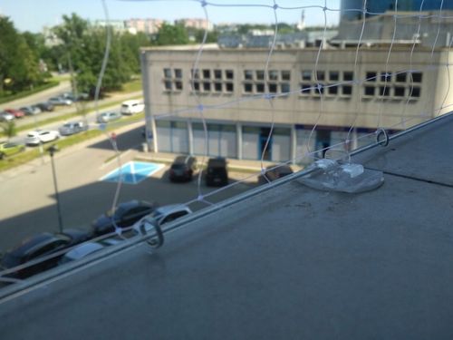 Siatka bezbarwna na balkon przeciw ptakom 5x2 |5x2 na Arena.pl