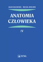 Anatomia człowieka. Tom 4