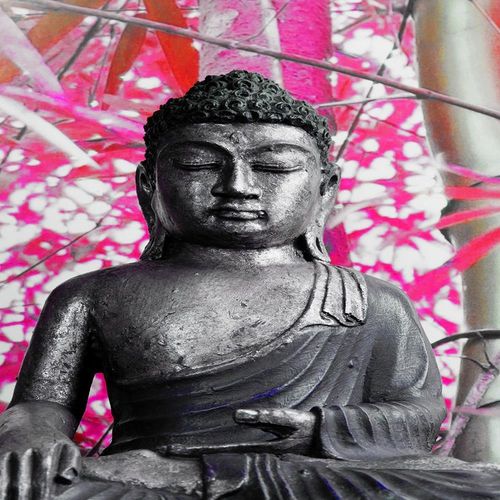 Obraz na płótnie - Canvas, Budda i bambusy 60x40 na Arena.pl