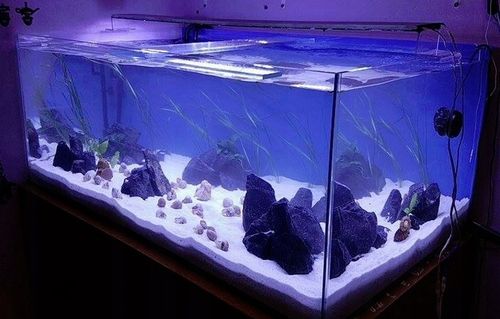 Biały drobny piasek kwarcowy do akwarium 25 KG na Arena.pl