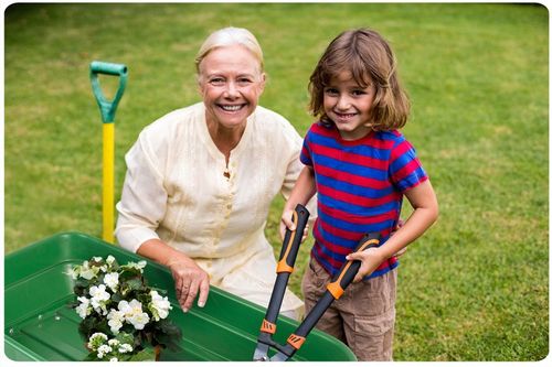 Wózek ogrodowy transportowy taczka wywrotka przyczepka 3w1 200kg na Arena.pl