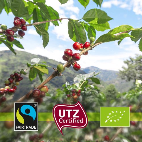 Kawa ziarnista JULIUS MEINL PREMIUM CAFFE CREMA 1kg | top Arabica i na Arena.pl