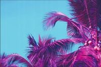 Tło fotograficzne Produktowe FLAT LAT Kulinarne