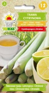 Trawa cytrynowa 0,1 g nasiona zioła zdjęcie 1