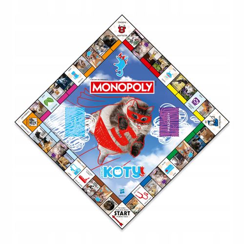 Monopoly Koty 2025 na Arena.pl