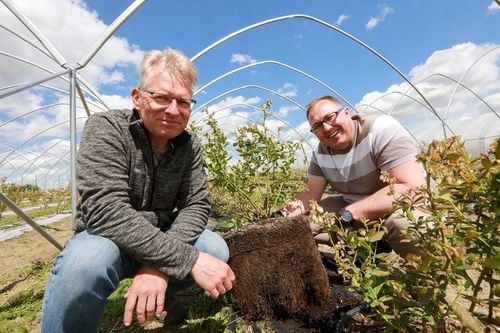 Węgiel brunatny do gleby CARBOMAT ECO 20 L (pH 4,5 - 5,0) na Arena.pl