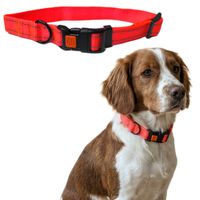 Regulowana obroża Pomarańczowa Neonowa z odblaskami L