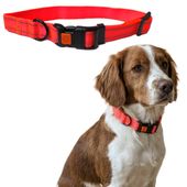 Regulowana obroża Pomarańczowa Neonowa z odblaskami L