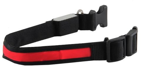 Obroża LED czerwona - S na Arena.pl