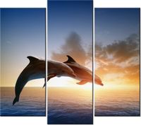 90 80CM OBRAZ T3 ELEM DELFINY DRUK ŚCIENNY