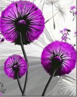 product-compare-58645637