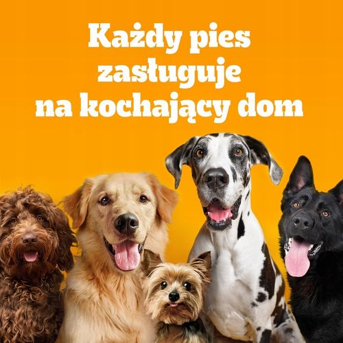 Pedigree Junior Professional Nutrition drób 12 kg na Arena.pl