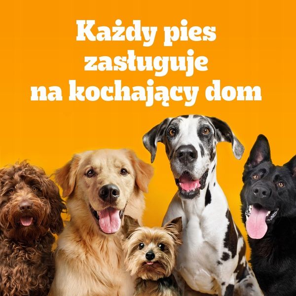 Pedigree Junior Professional Nutrition drób 12 kg zdjęcie 15