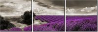 90 80CM OBRAZ T3 ELEM LAWENDOWY WIDOK DRUK ŚCIENNY