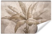 Fototapeta Do Salonu LIŚCIE Tropikalne Beton Natura Rośliny 90cm x 60cm
