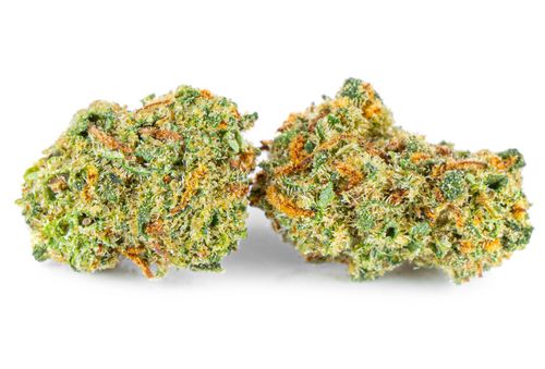 CBD SUSZ KONOPNY STRAWBERRY KUSH PRODUKT NATURALNY 5 g na Arena.pl