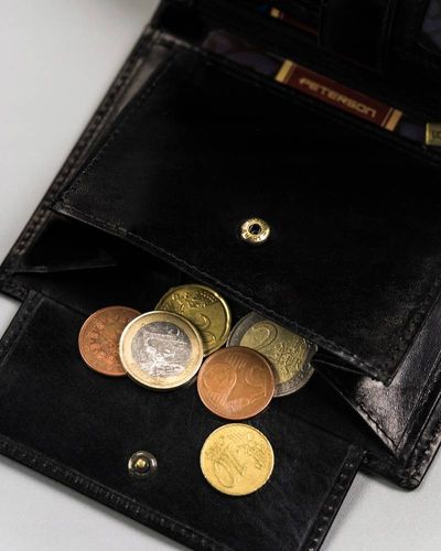 duży, skórzany portfel męski bez zapięcia - peterson na Arena.pl