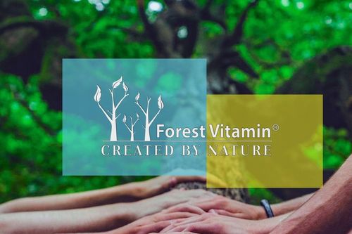 L-GLUTAMINA 500g L-GLUTAMINE 100% CZYSTE AMINOKWASY + BADANIA LABORATORYJNE na Arena.pl