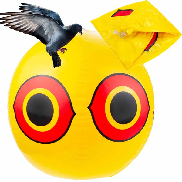 ODSTRASZACZ PTAKI GOŁĘBIE SZPAKI PŁOSZENIA PTAKÓW ŻÓŁTY BALON ODSTRASZ zdjęcie 1