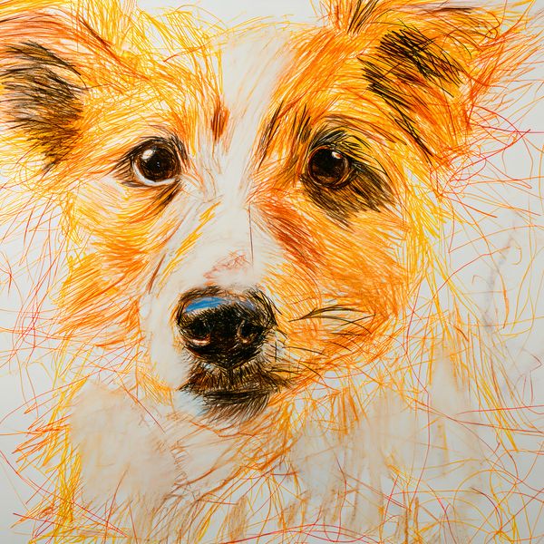 Plakat 40x40cm Uroczy Gość zdjęcie 1