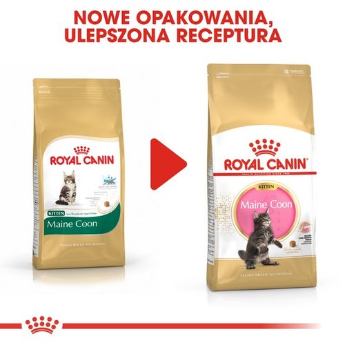 Karma dla kociąt Maine Coon, kotek w ciąży i karmiących - Royal Canin 2kg na Arena.pl