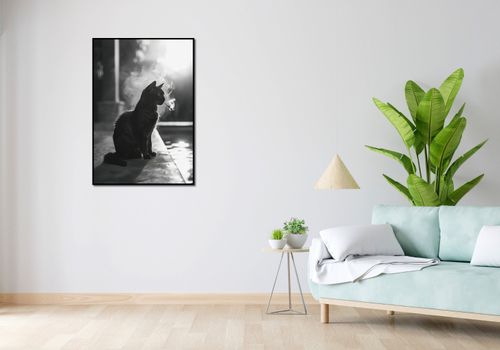 Plakat 68x98cm Kocia Przerwa na Arena.pl