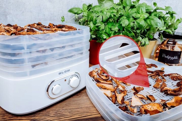 SUSZARKA DO GRZYBÓW OWOCÓW WARZYW RYB REGULACJA 5 SIT zdjęcie 14