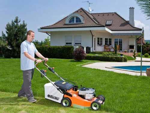 OLEO-MAC LUX 55 TBD PROFESJONALNA KOSIARKA SPALINOWA DO TRAWY ALUMINIOWA Z NAPĘDEM B&S Briggs & Stratton seria 750 EX DOV Ready Start 6.5KM  8203995E5 na Arena.pl