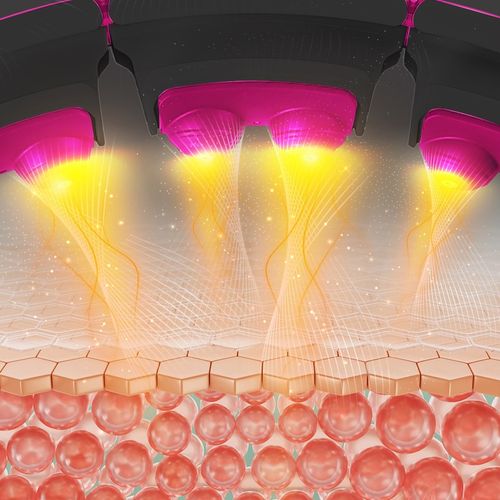 Hula Hop Magnetyczny Z Wypustkami i Obciążnikiem + Pas Wyszczuplający HMS na Arena.pl