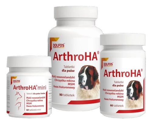 Arthro HA 60 tabletek na Arena.pl