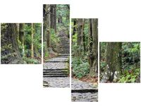 OBRAZ JAPOŃSKA ŚCIEŻKA PRZEZ LAS