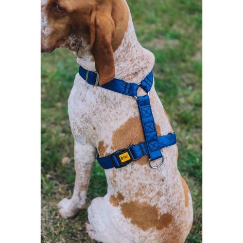 Szelki dwupaskowe Guard Terra Ocean, rozm. M na Arena.pl