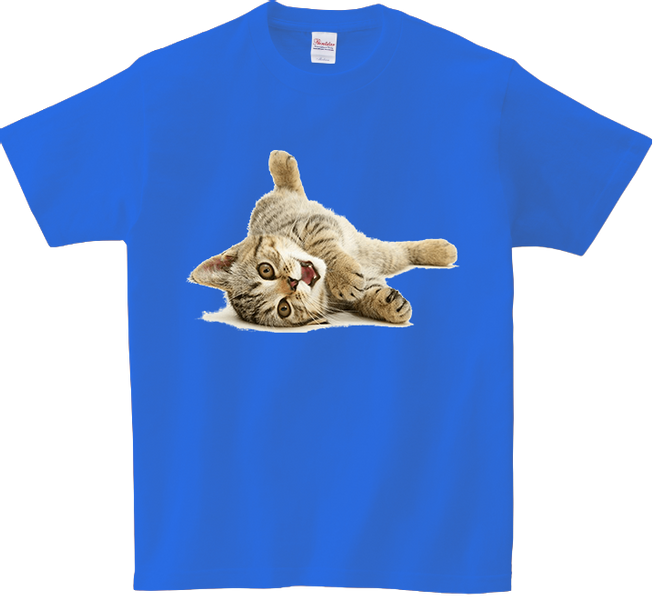 Koszulka T-shirt Kot zdjęcie 1