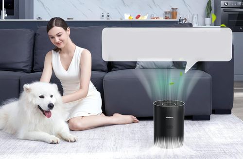 Oczyszczacz powietrza HEPA Chuboor do sypialni na Arena.pl